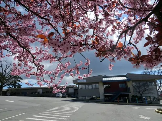 Pacific Christian